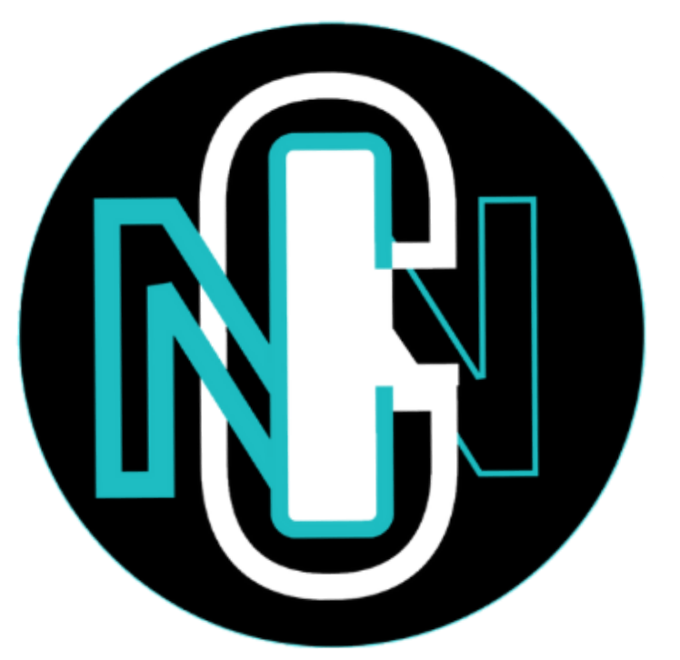 Naija Campaign Network